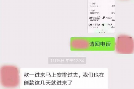 莆田为什么选择专业追讨公司来处理您的债务纠纷？